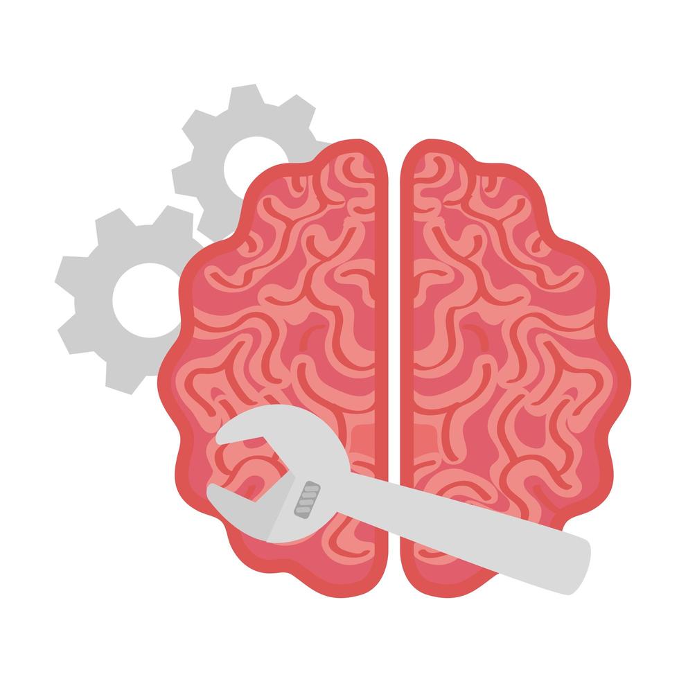 arreglar el cerebro, el cerebro con herramientas, sobre fondo blanco vector