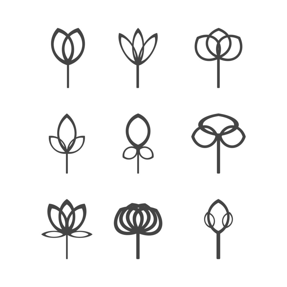 diseño de esquema de flor de forma de conjunto de iconos vector