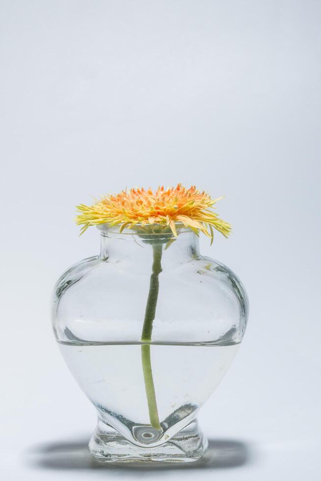 Flowers in a heart shaped glass photo