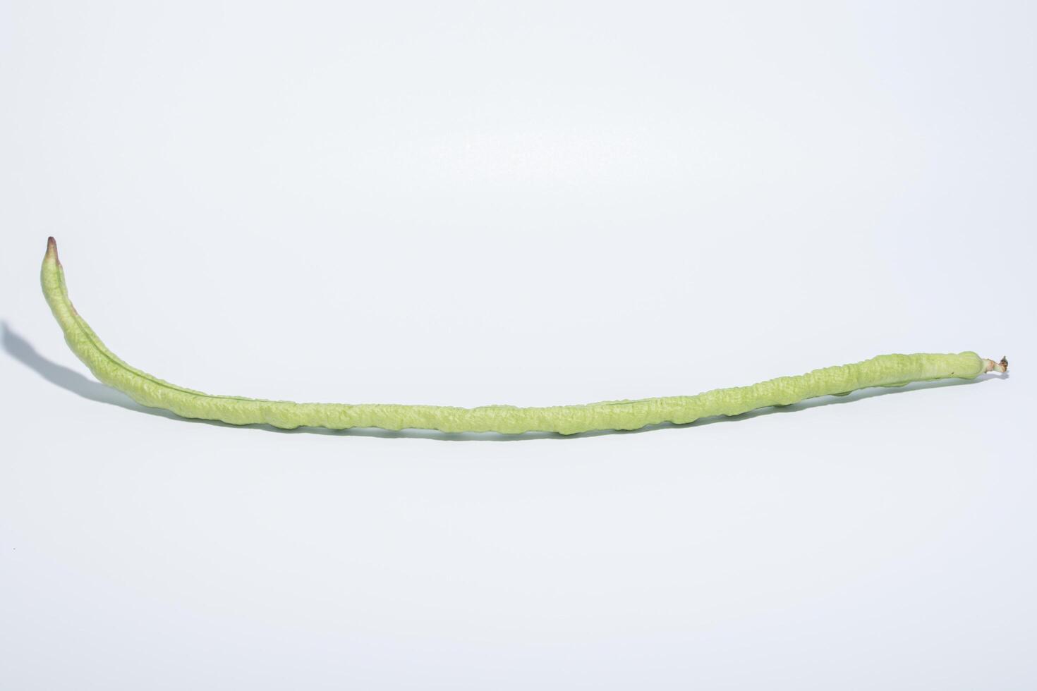 Yardlong bean on white background photo