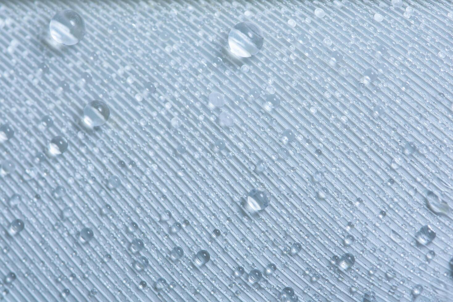 Drops on a feather photo