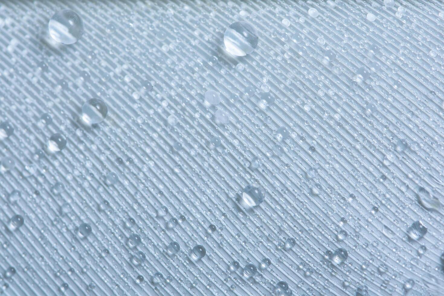 Drops on a feather photo