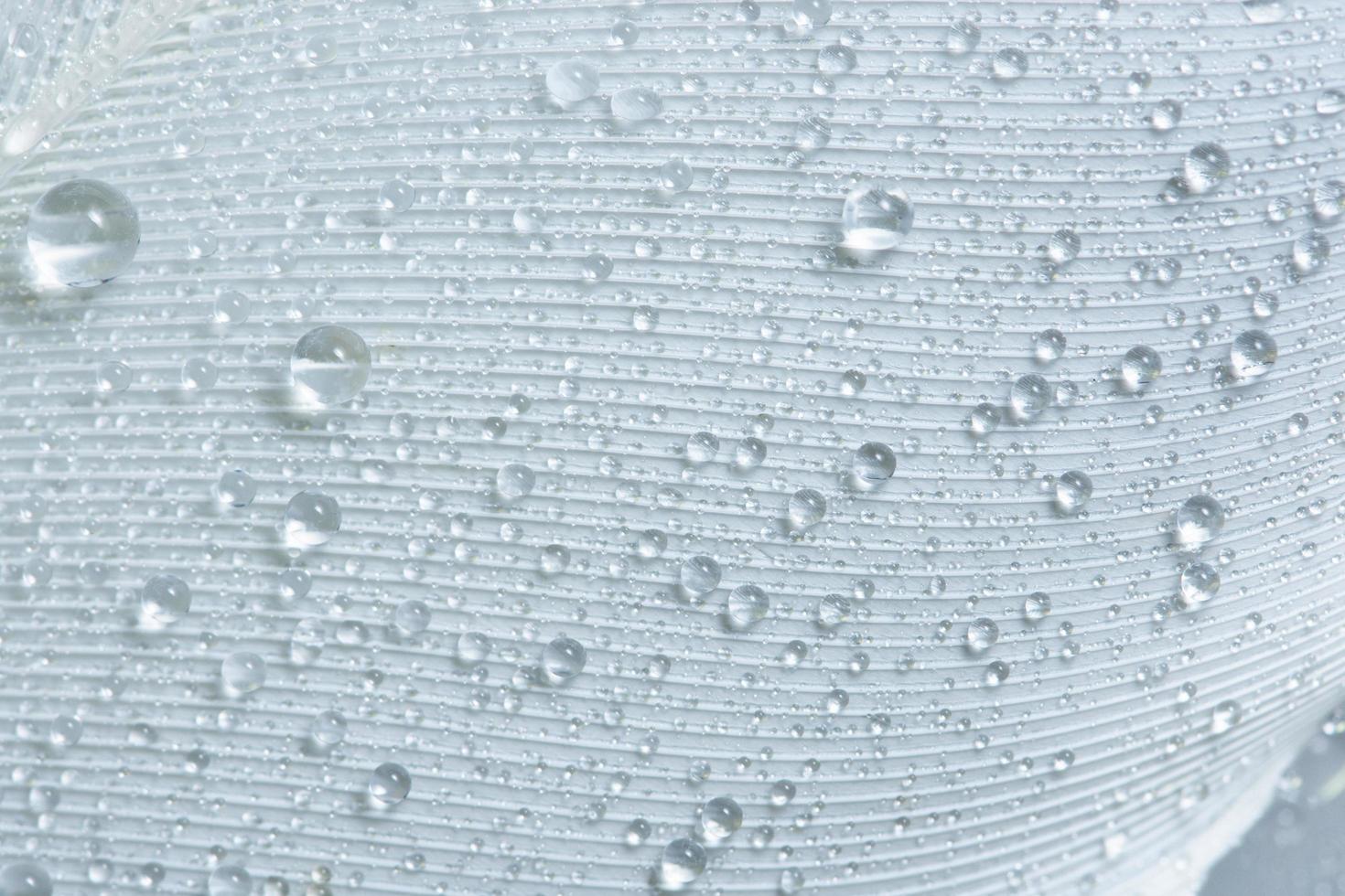 Drops on a feather photo