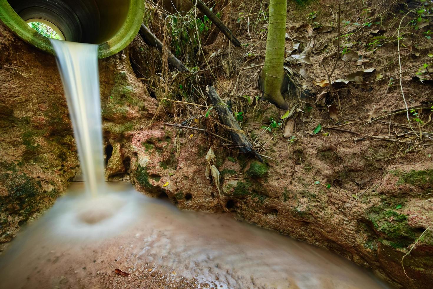 Stream in the forest in Thailand photo