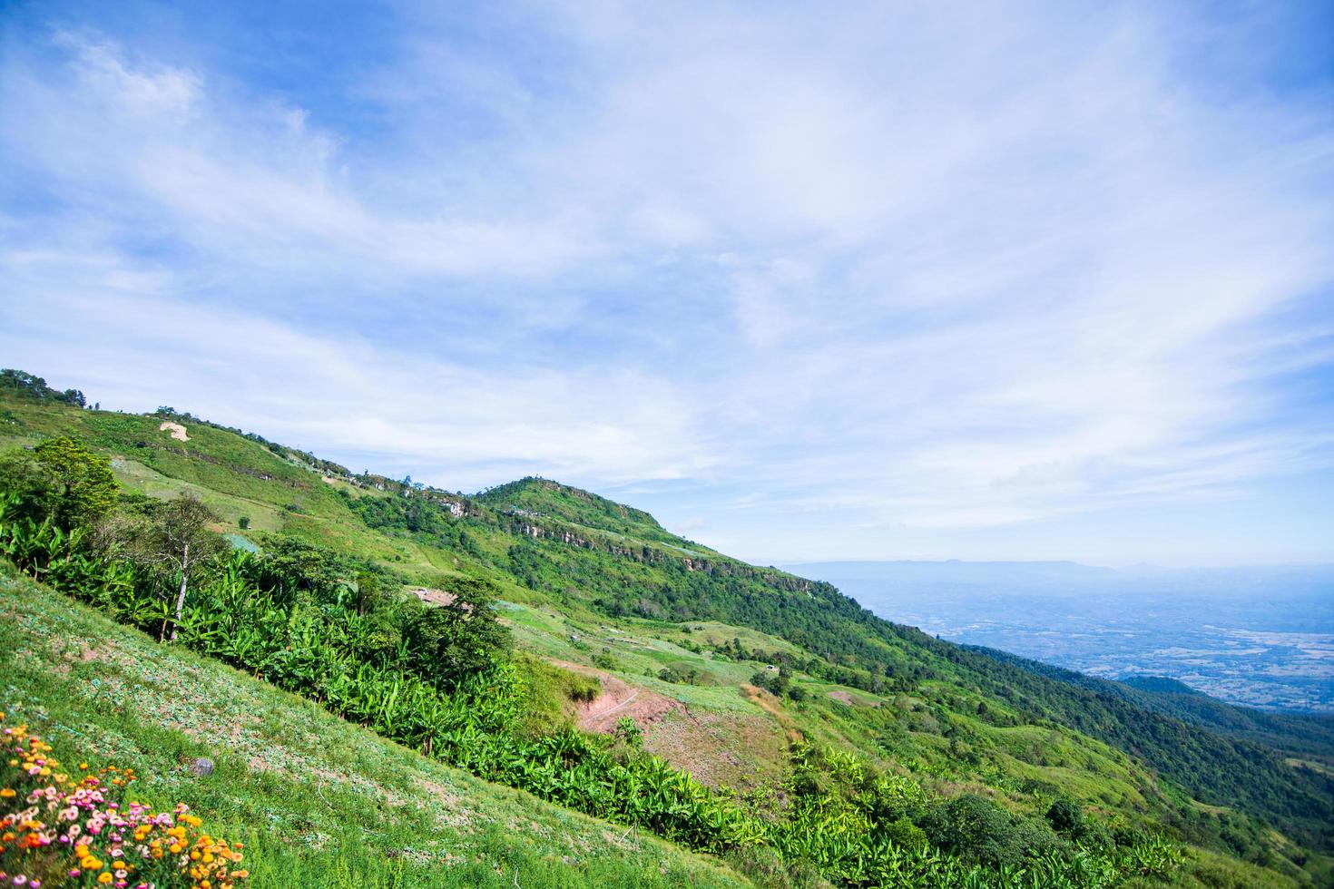 Landscape at Phu Tubberk in Thailand photo