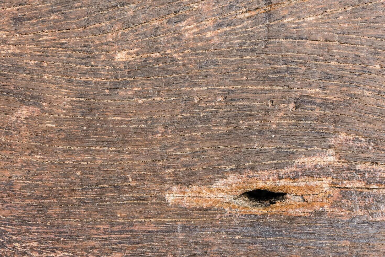 Wood pattern background photo