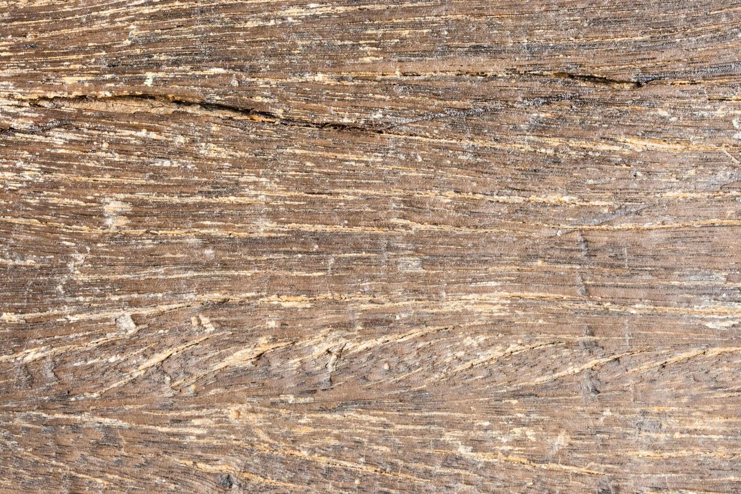 Wood pattern background photo