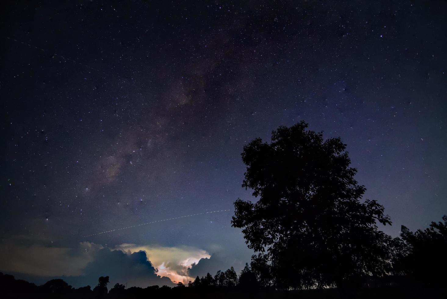 Silhouette of a tree at night photo