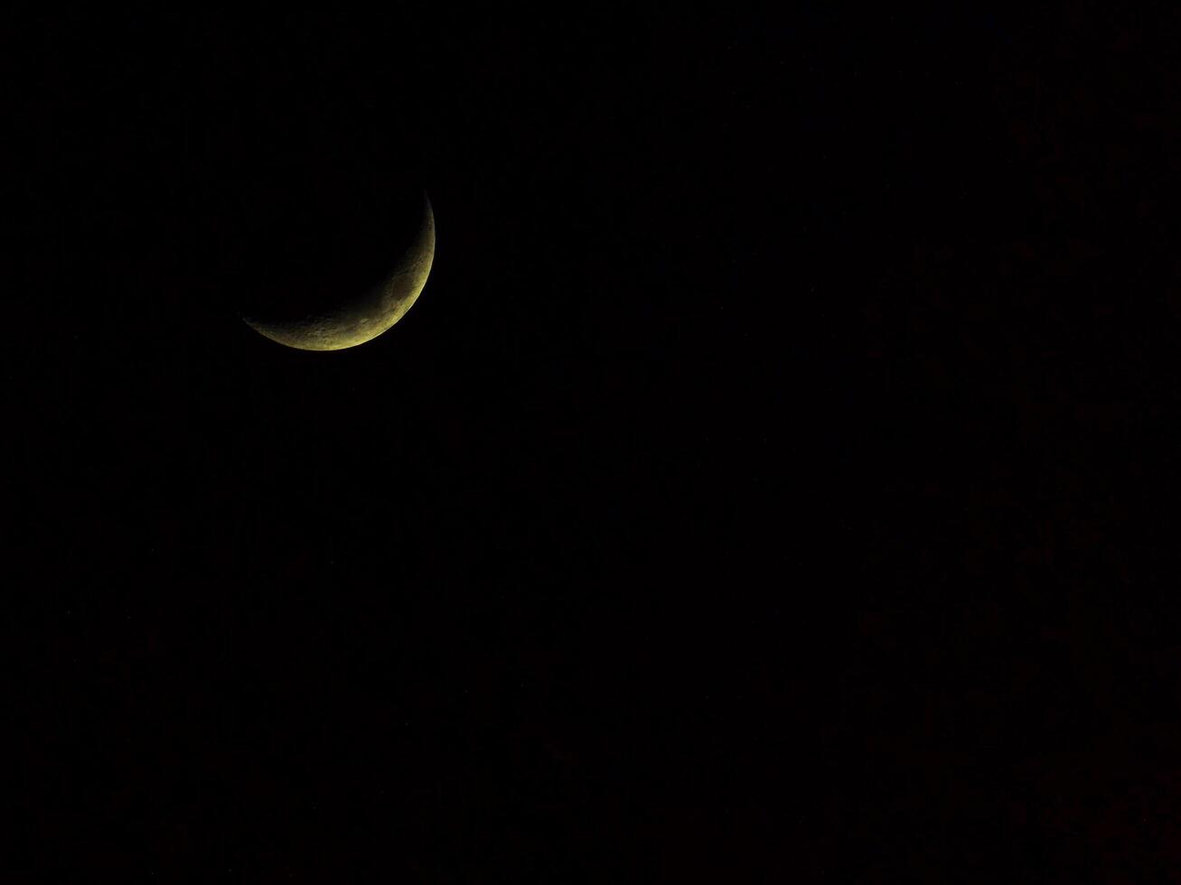 The moon at night photo