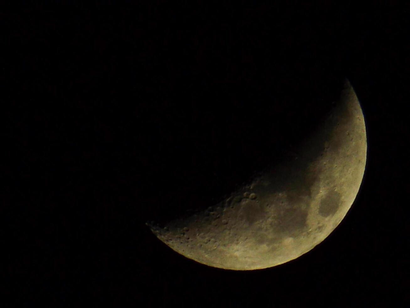 The moon at night photo