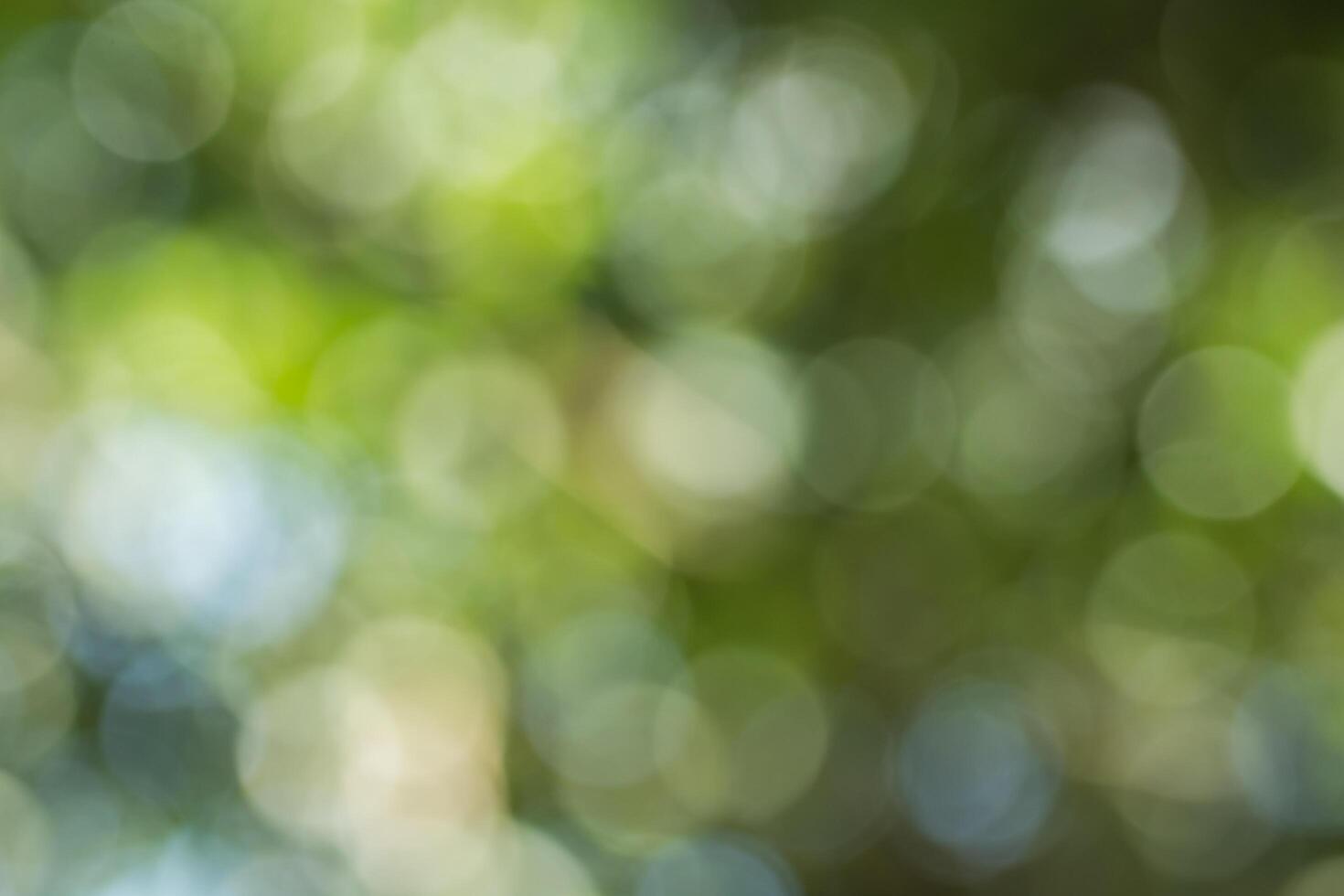 Green bokeh background photo