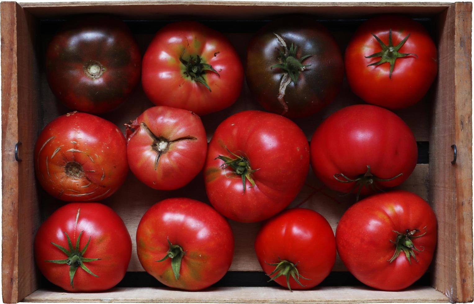 tomates en una canasta foto