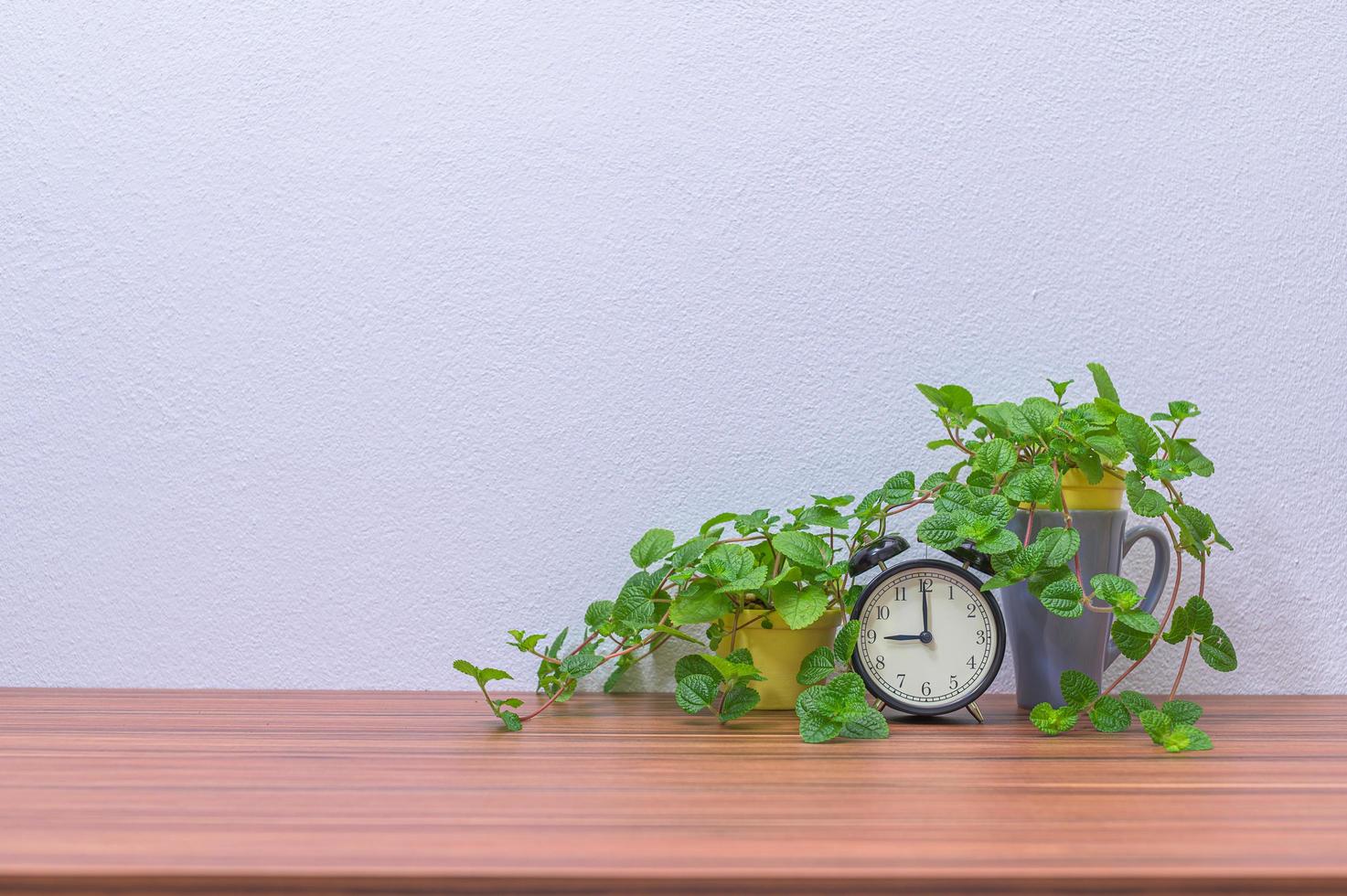 Flower and alarm clock on the desk photo