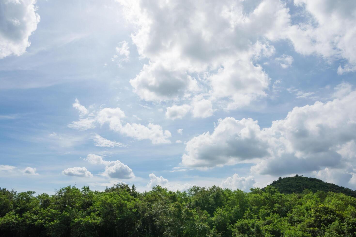 cielo y nubes sobre el bosque foto