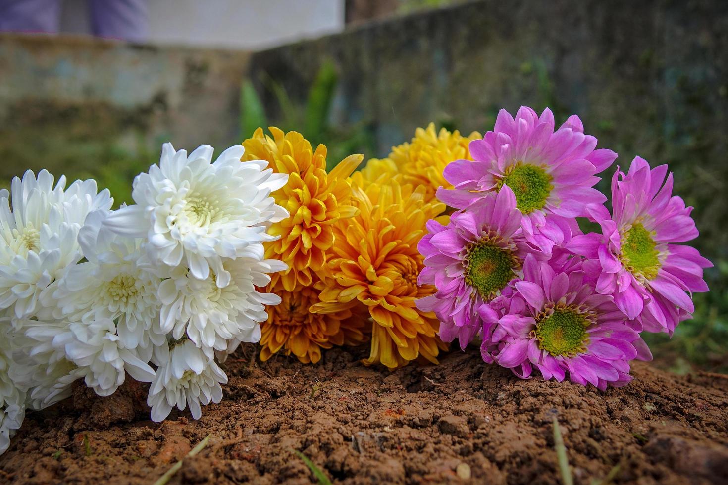 ramo de flores de jardín foto