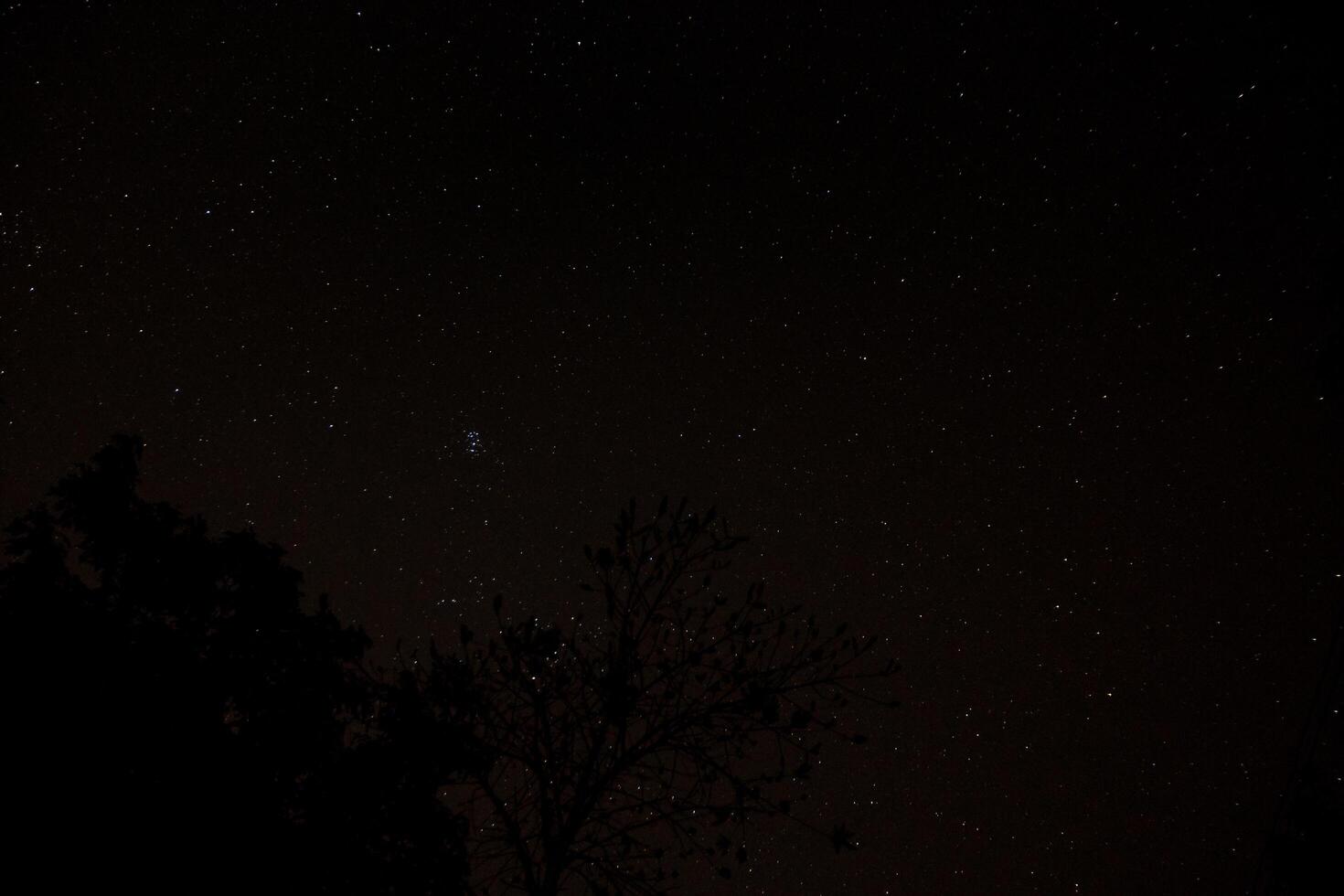 Stars at night photo