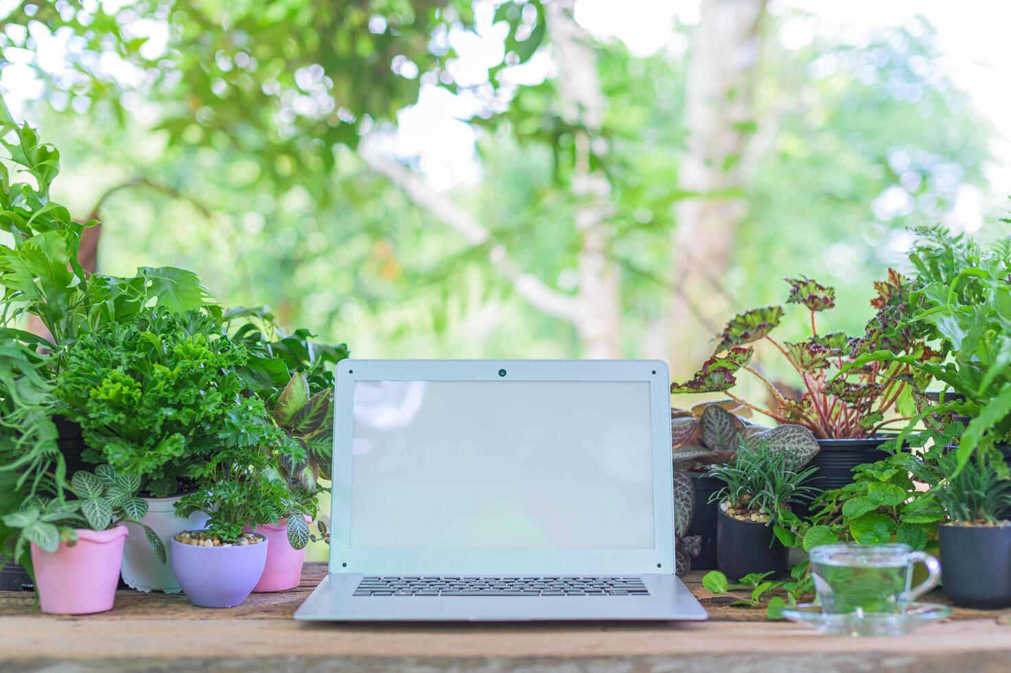 computadora portátil en el escritorio foto