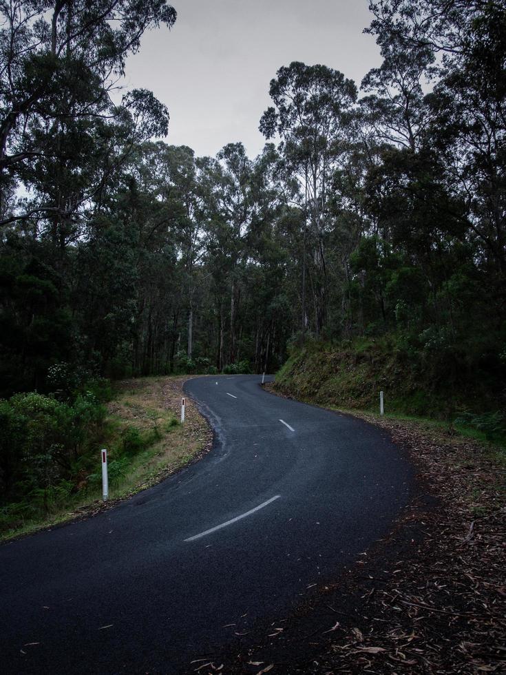 carretera con curvas al anochecer foto