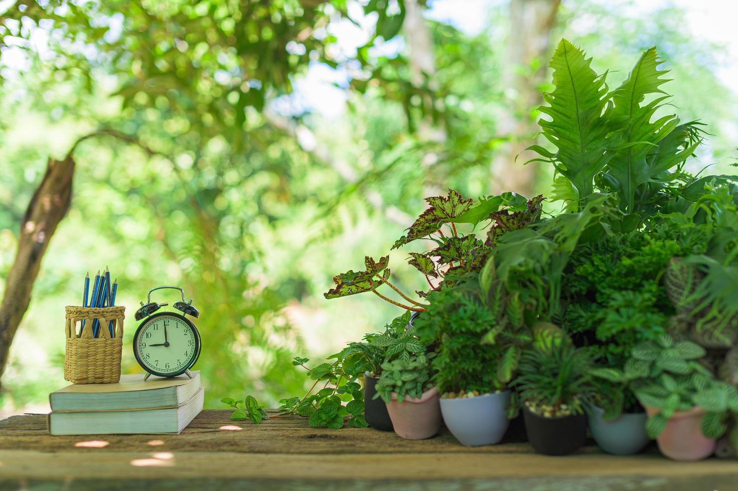 libros y plantas reloj en el escritorio foto