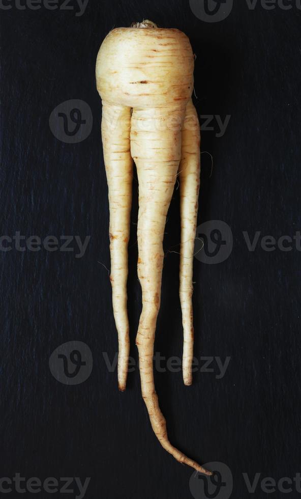 Close-up of a parsnip photo