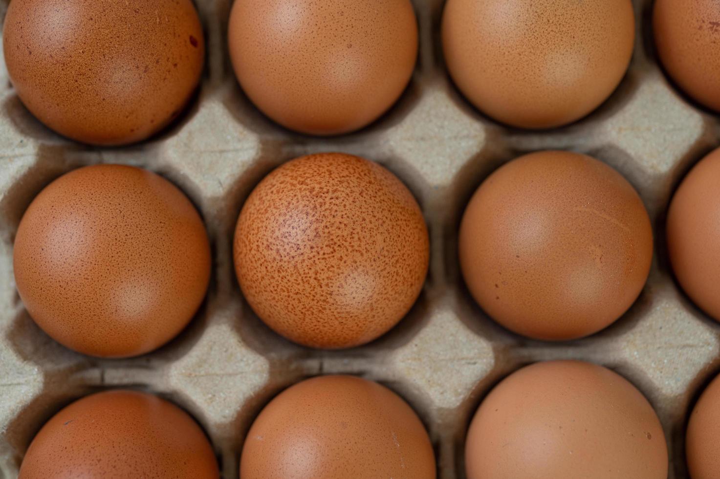 Raw organic chicken eggs photo