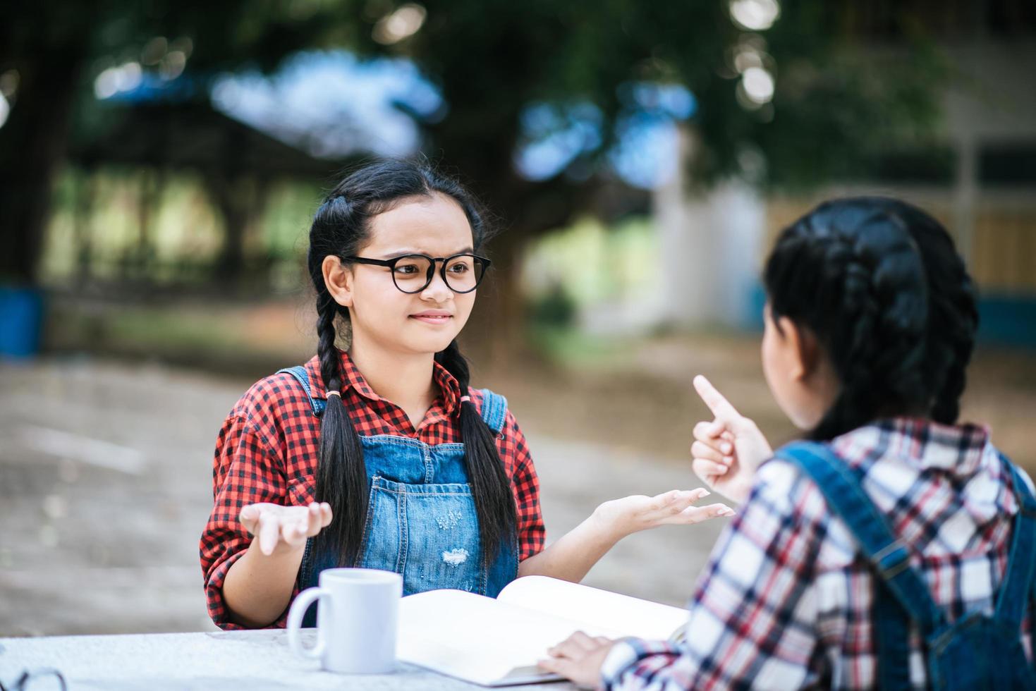 Two girls studying and talking to each other in a park photo