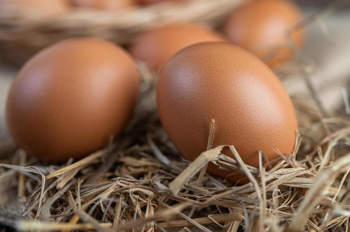 huevos crudos sobre cáñamo y paja foto