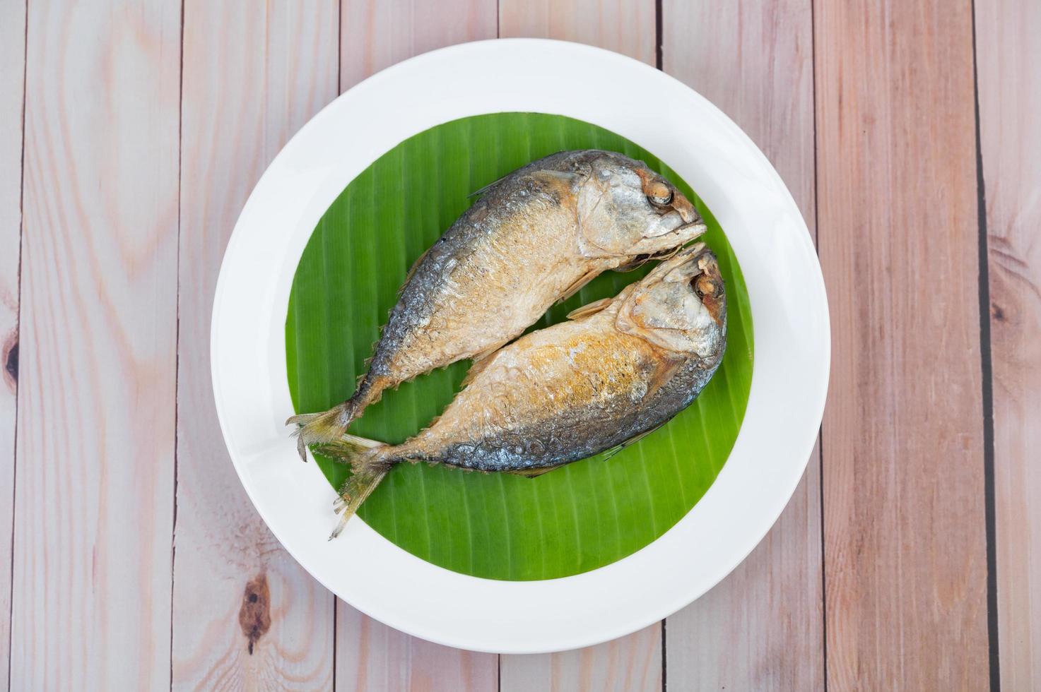 Fried mackerel on a white plate photo