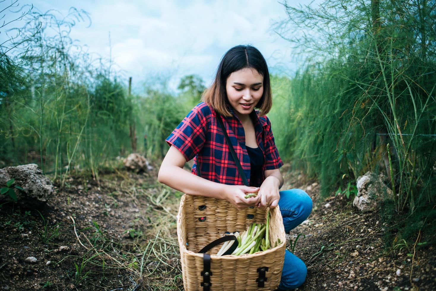 Young farmer harvesting fresh asparagus photo