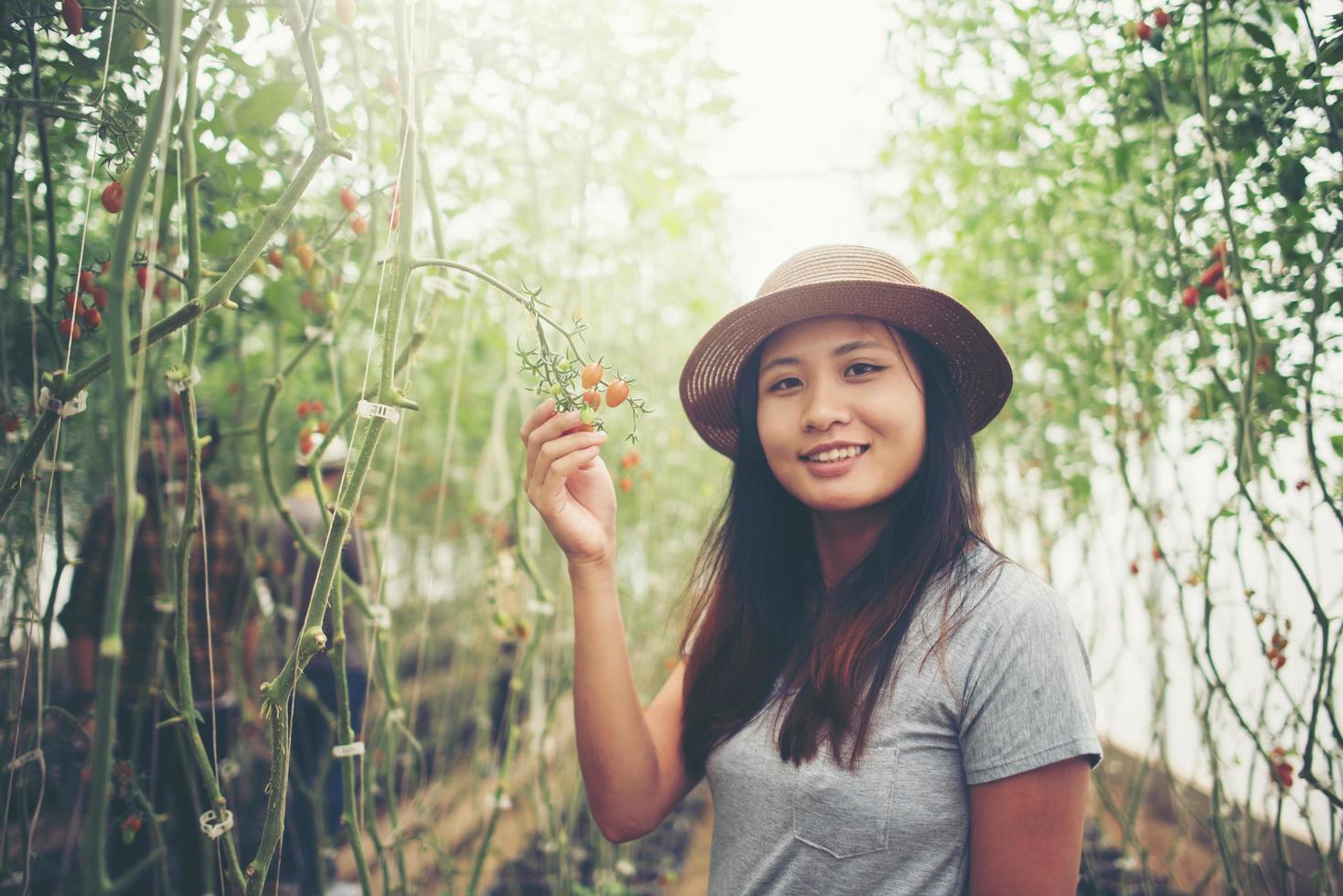 Mujer joven en un invernadero con cosecha de tomates orgánicos foto