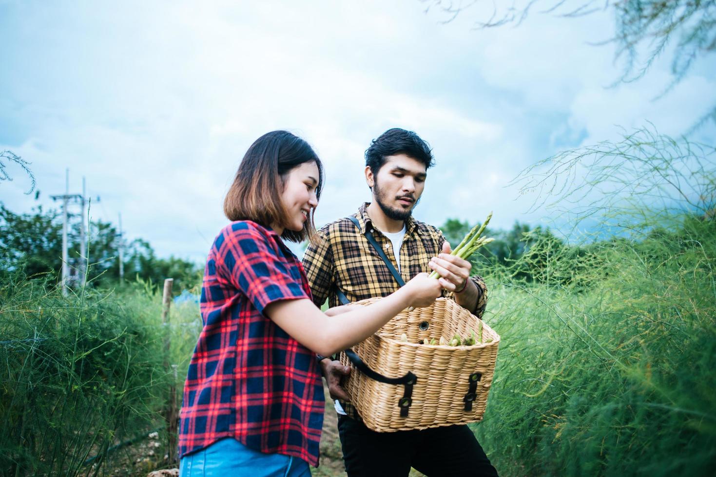 Pareja joven agricultor cosechando espárragos frescos foto