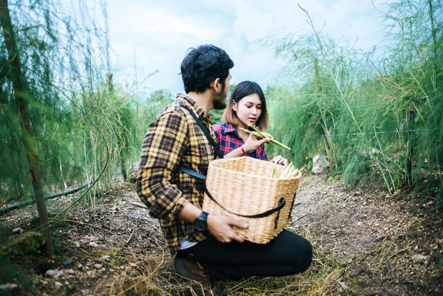 Young farmer couple harvesting fresh asparagus photo