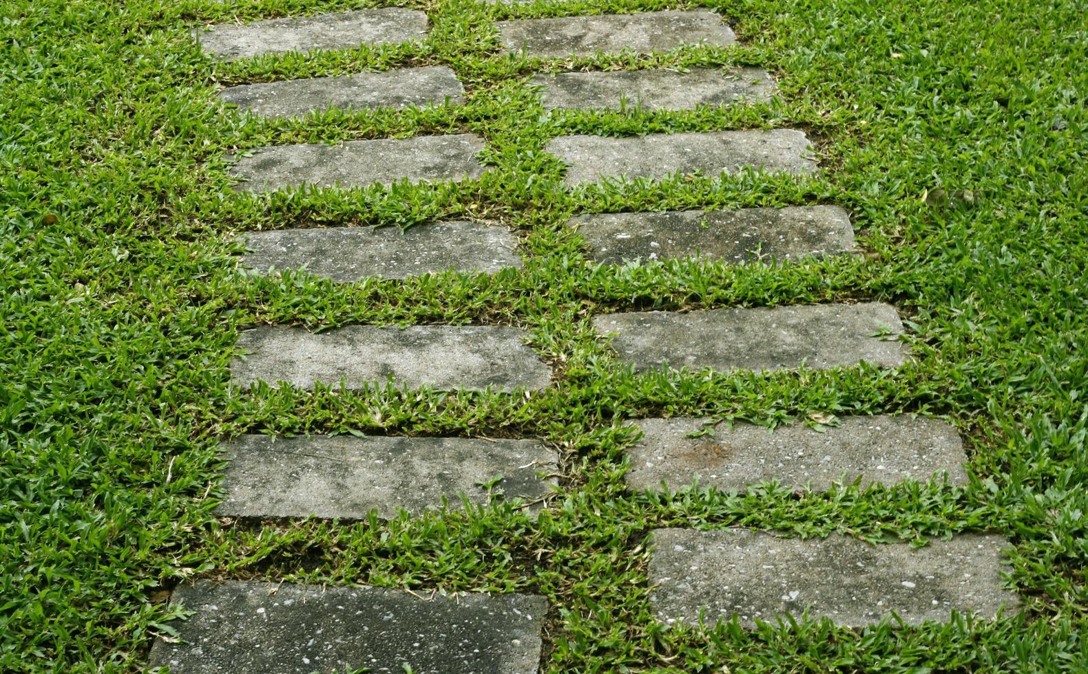 Camino de piedra sobre la hierba verde en el jardín foto