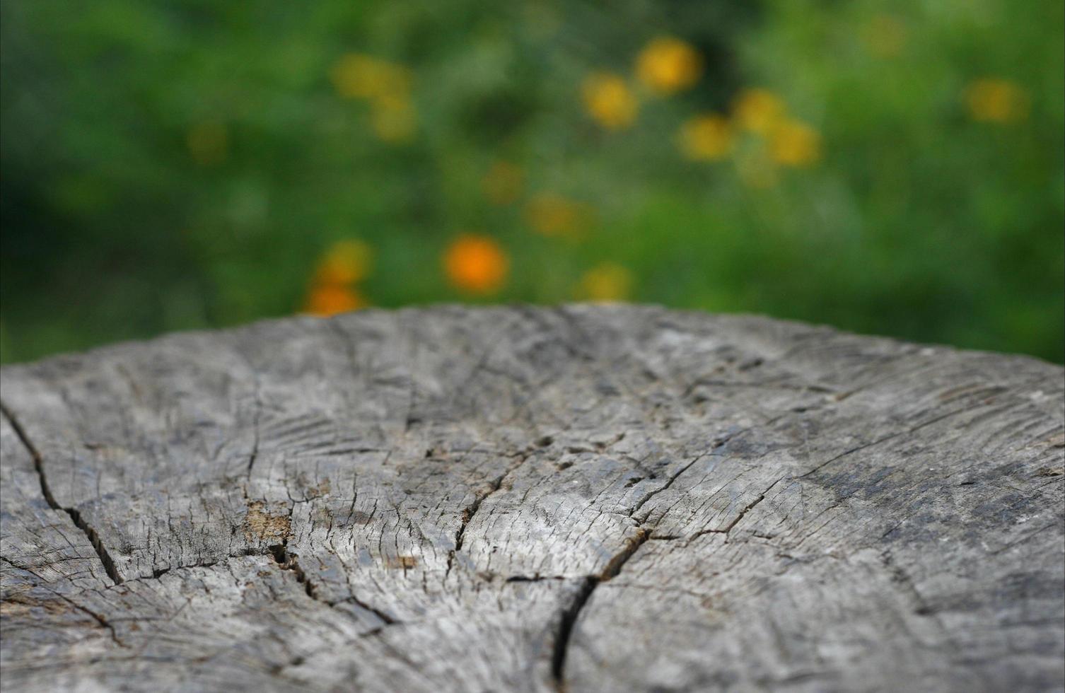 Mesa de madera rústica contra un fondo borroso foto