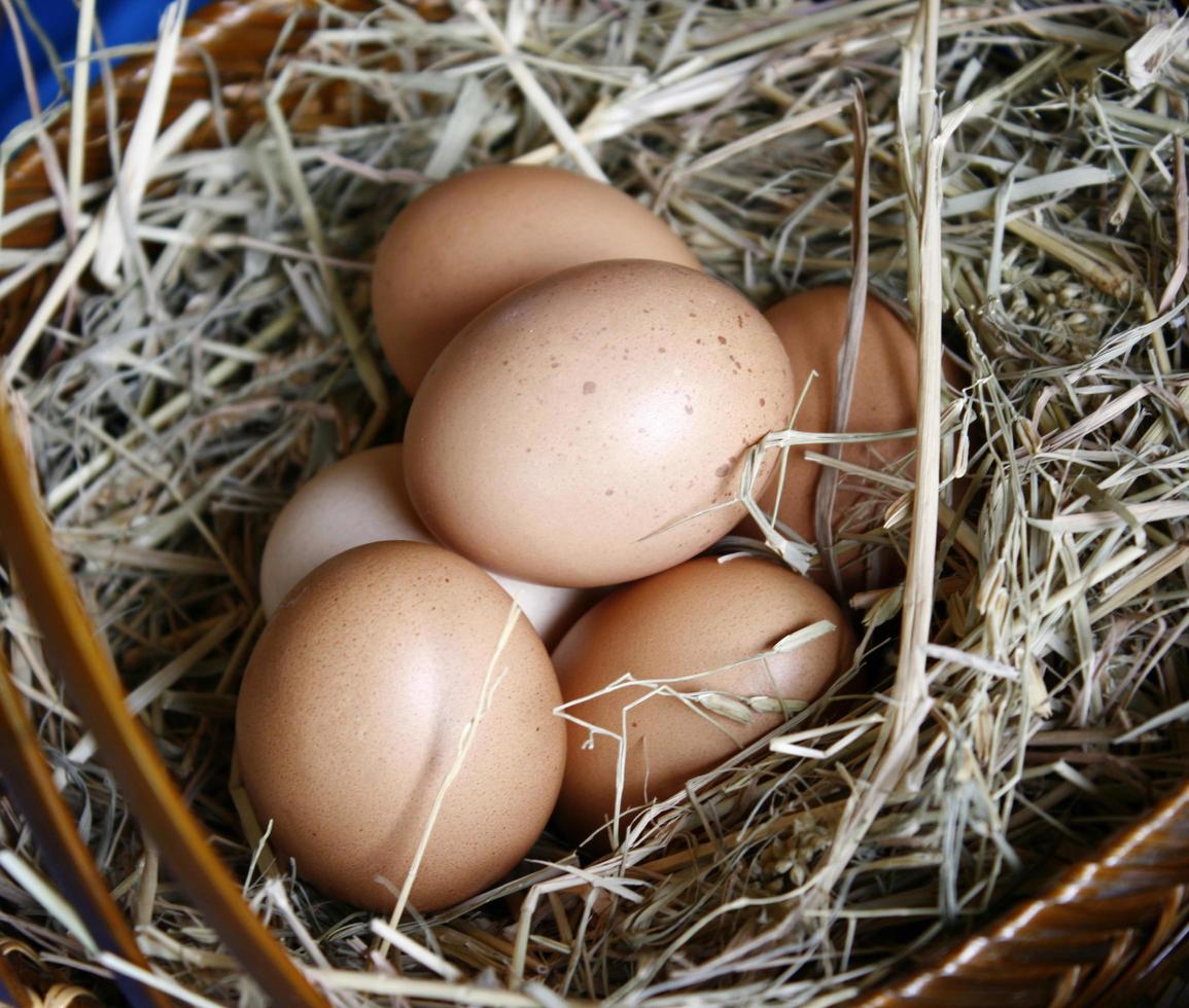 Huevos marrones en cesta de madera nido de heno foto