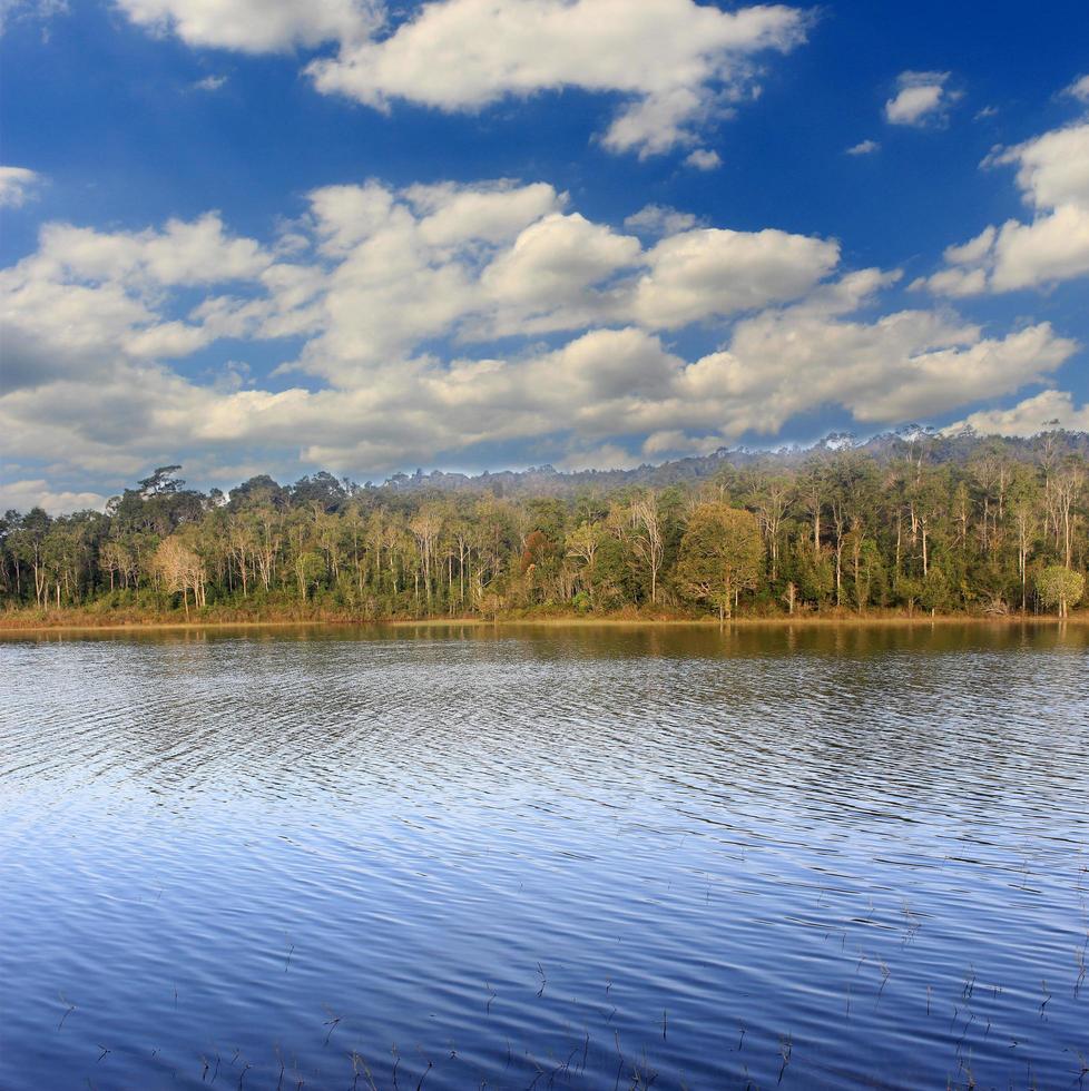 bosque del lago con cielo azul y nubes foto