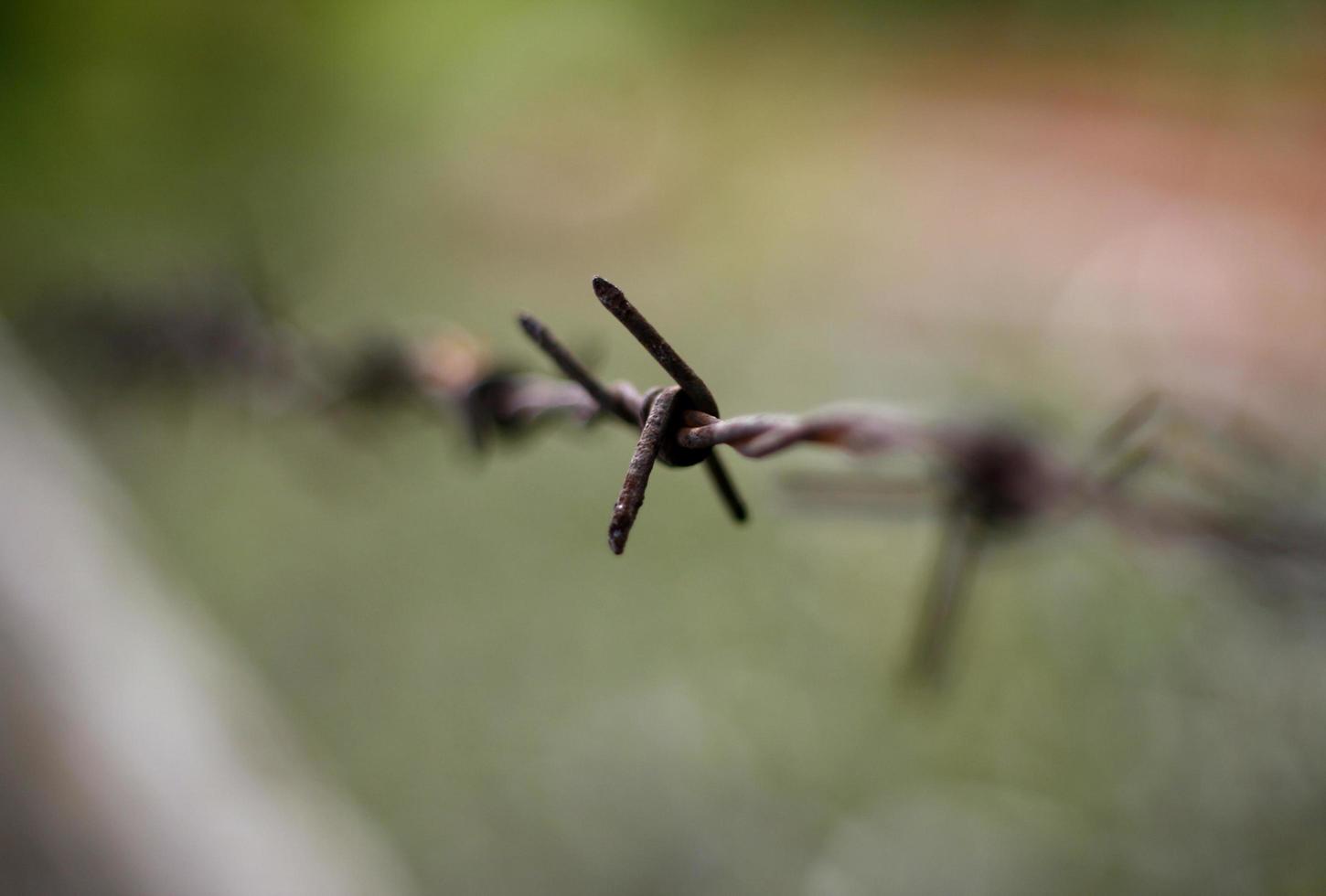 primer plano, de, alambre de púas foto