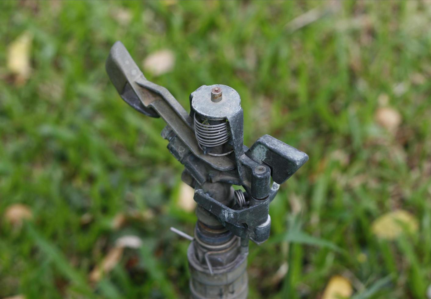 Water sprinkler in grass photo