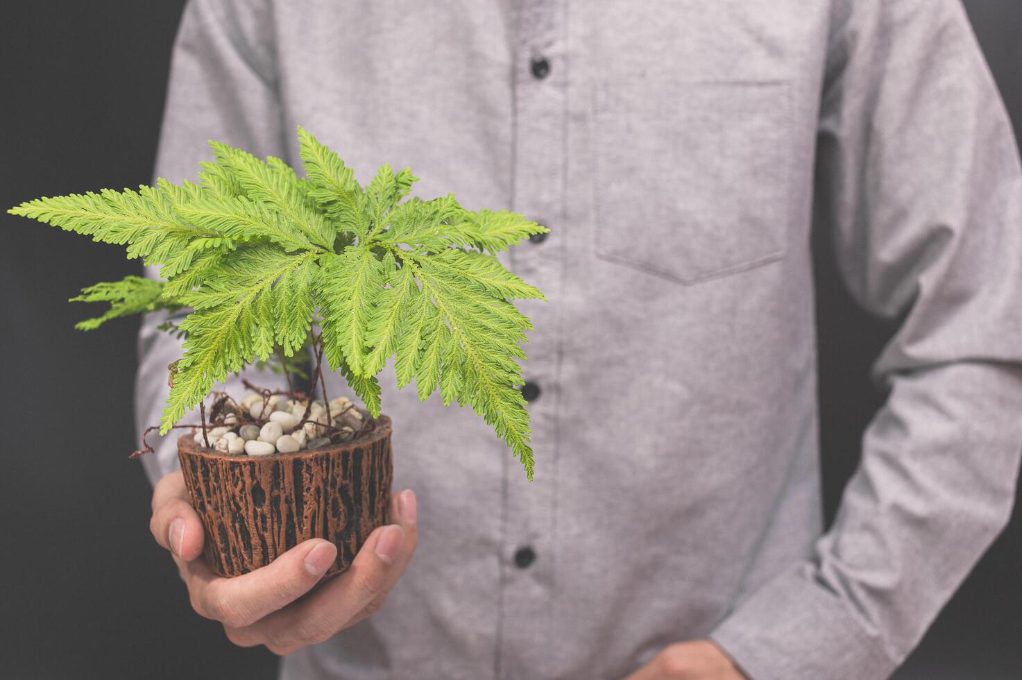 Hand holding a flower pot photo