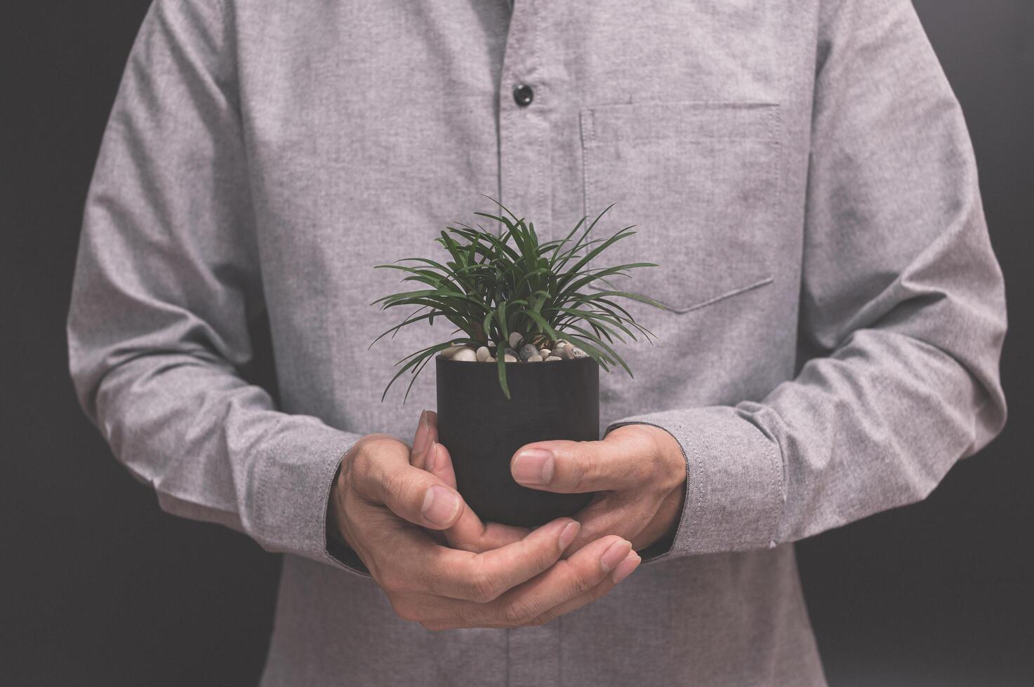 Hand holding a flower pot photo