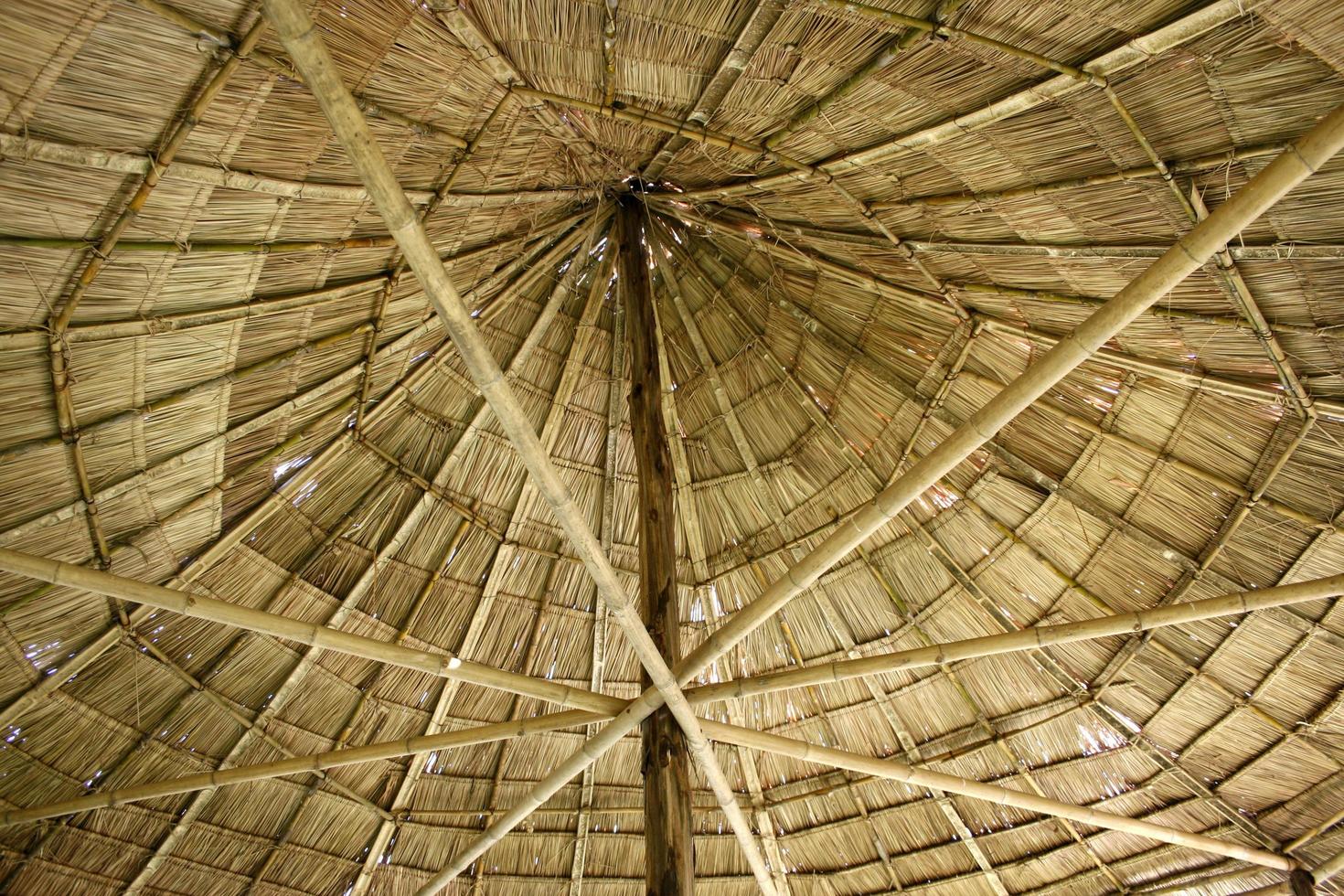 Roof of beach canapy photo