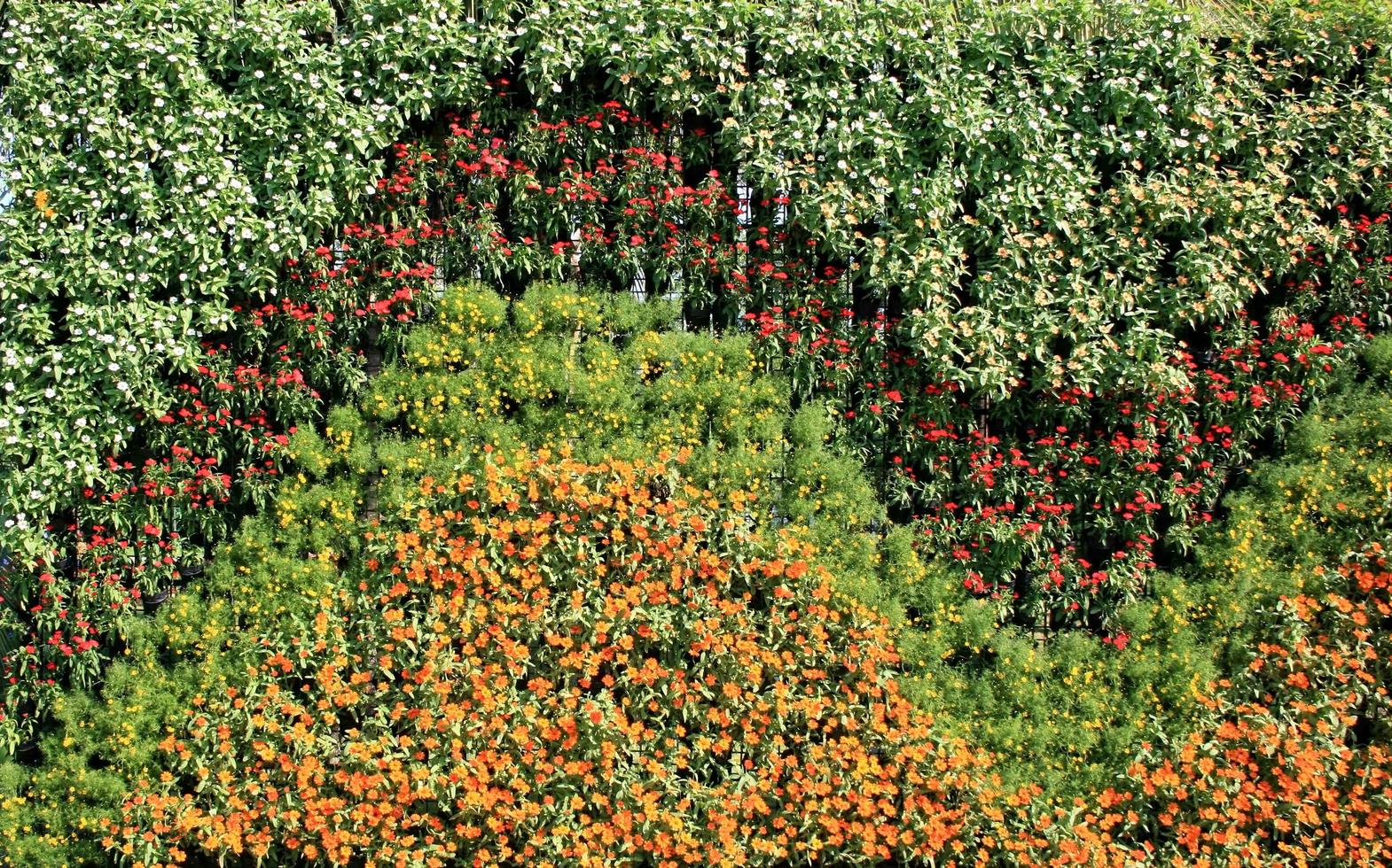 jardín vertical de pared de flores foto