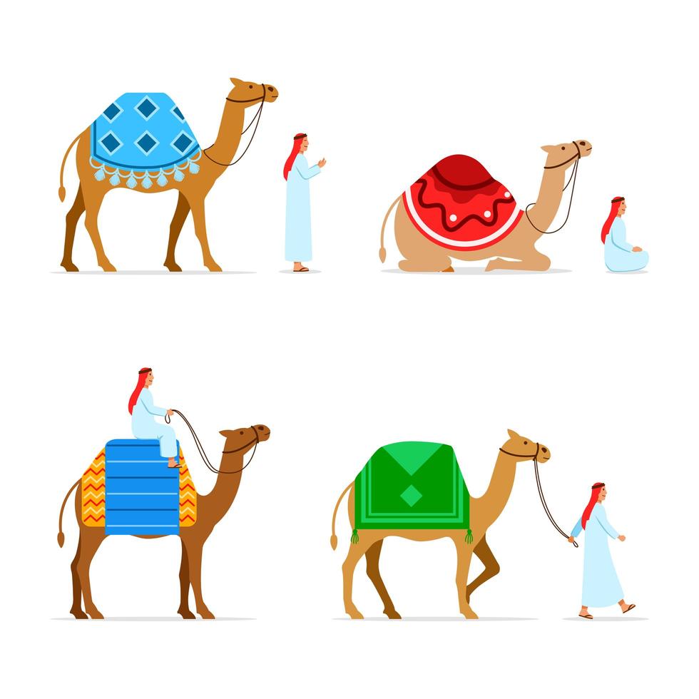 Camel Rider Flat Character Collection Set vector