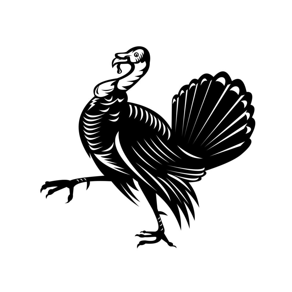 Wild Turkey Marching Side View Retro Black and White Design vector