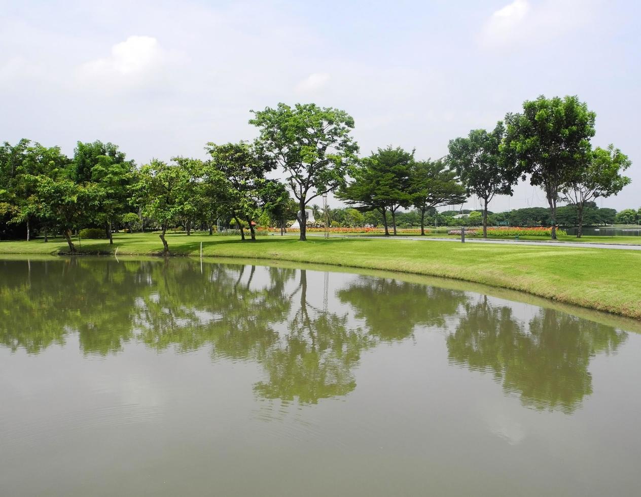 parque verde con estanque foto