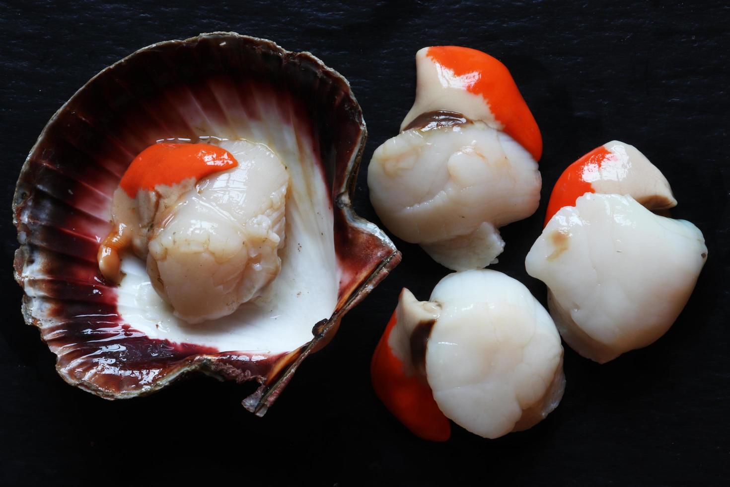 Scallops in a shell photo