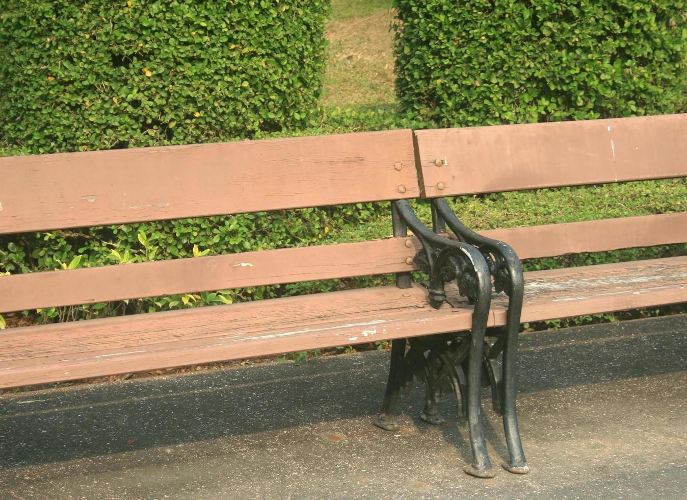 Wooden benches in park photo