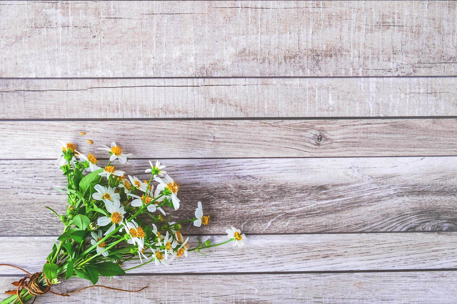 Daisies on table photo