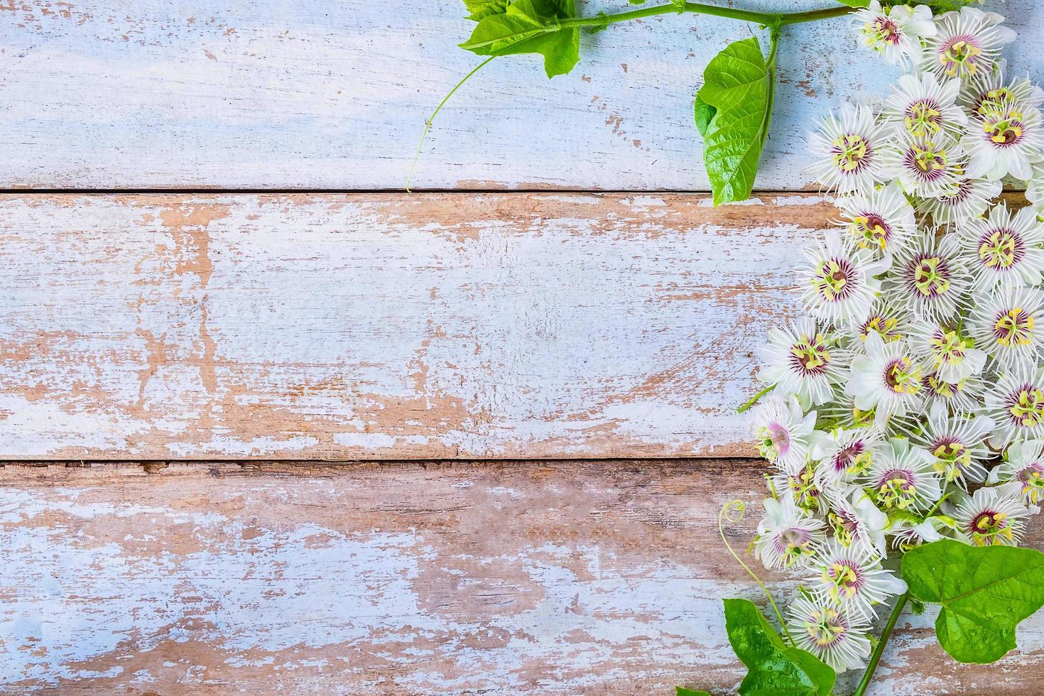 Flowers on table photo