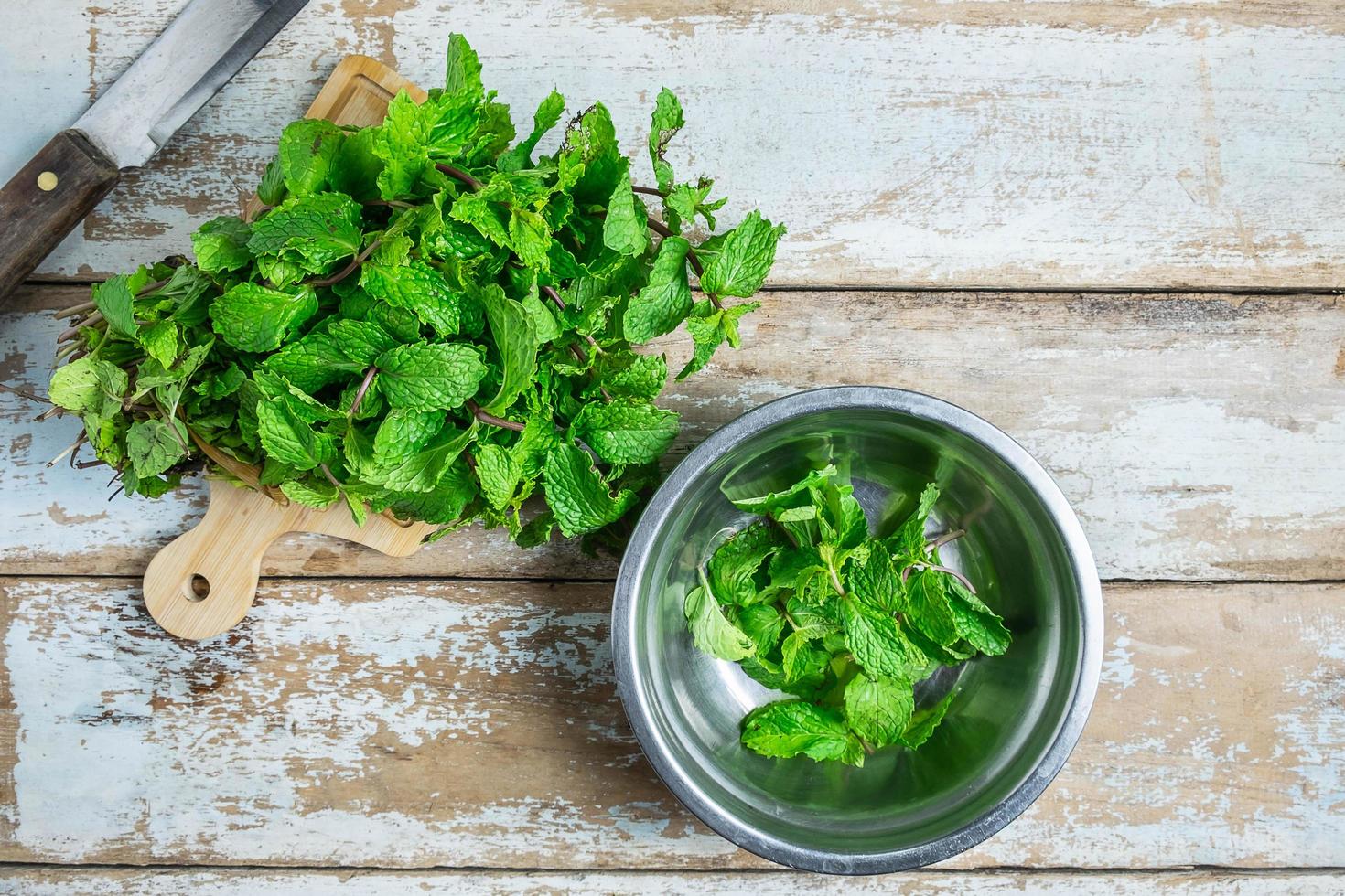 Mint herbs on a wooden table photo